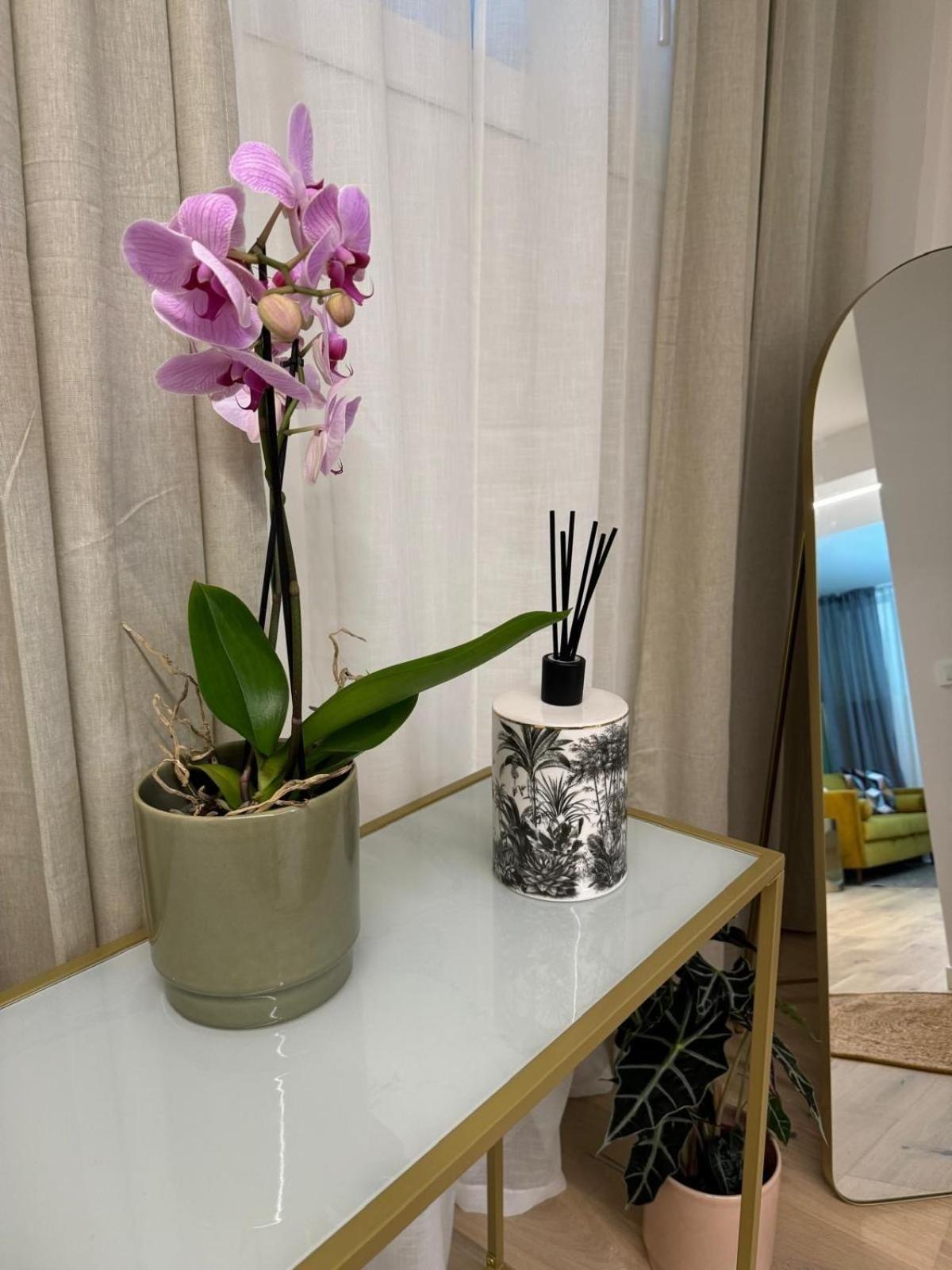 Apartamento Urban